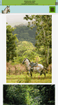 Mobile Screenshot of horsebacktour.com